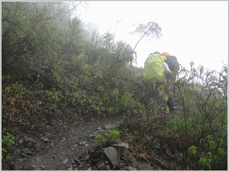 2015-04-10 12-15-05往舊登山口前進.JPG